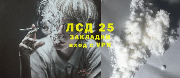 прущие грибы Абинск