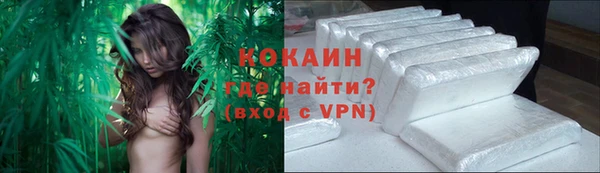 прущие грибы Абинск