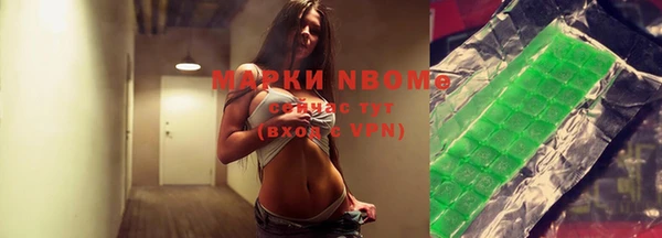 прущие грибы Абинск